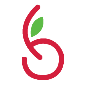 raspberrydigital